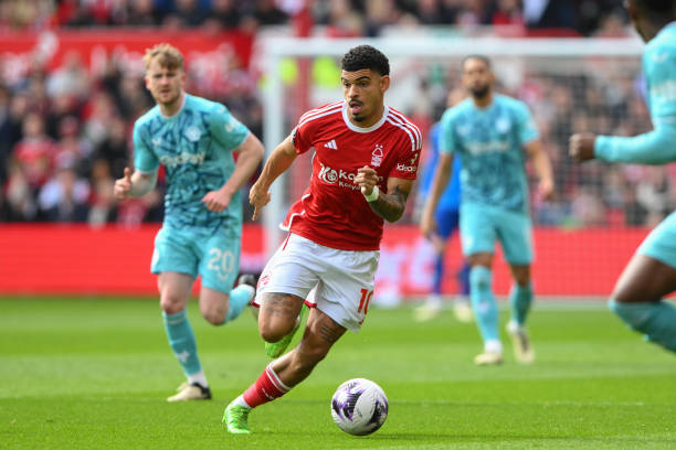 作为替补门 作为替补门